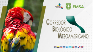 Corredor Biológico Mesoamericano