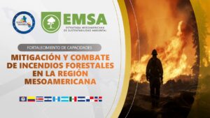 Mitigación y Combate de Incendios Forestales