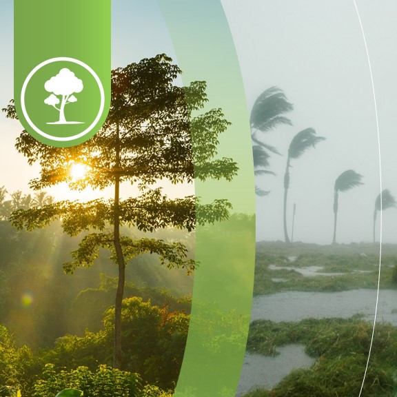 Sector Medio Ambiente