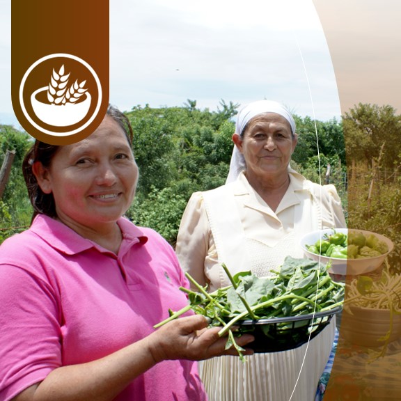 Sector Seguridad Alimentaria y Nutricional