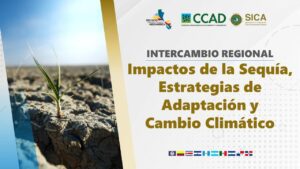 Intercambio Regional: Impactos de la Sequía, Estrategias de Adaptación y Cambio Climático