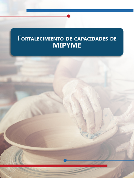 FORTALECIMIENTO DE CAPACIDADES DE MIPYMES